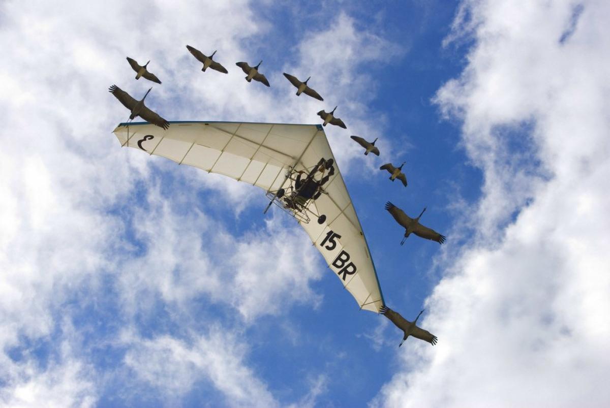 Affiancamento su Formazione Tecnica